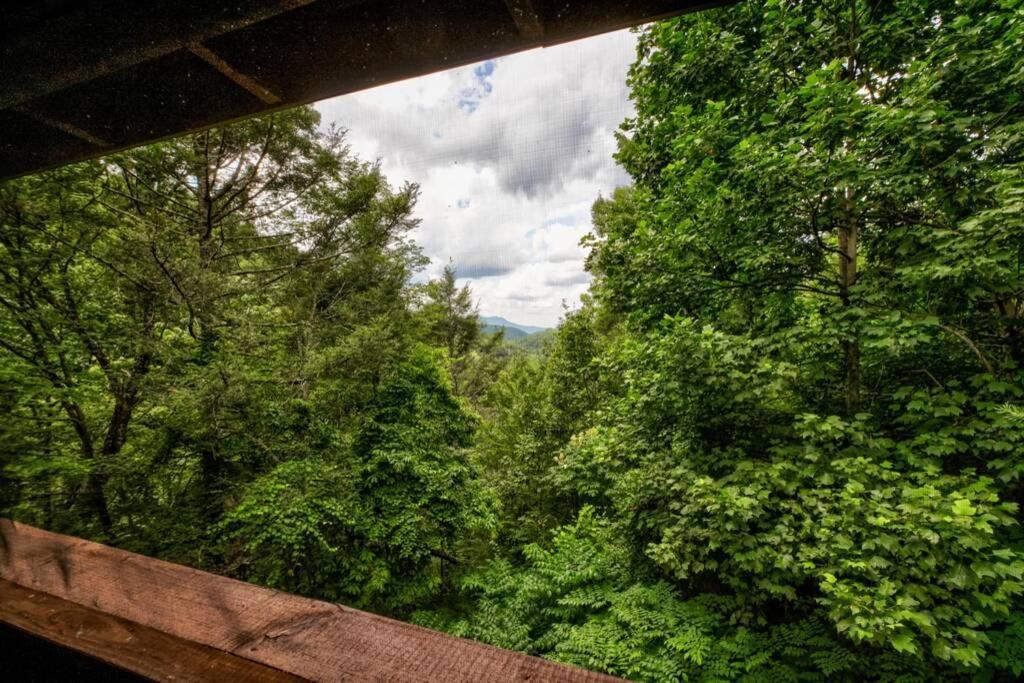 Nice View Fireplace, Hot Tub, Porch Bed, Private سيفيرفيل المظهر الخارجي الصورة