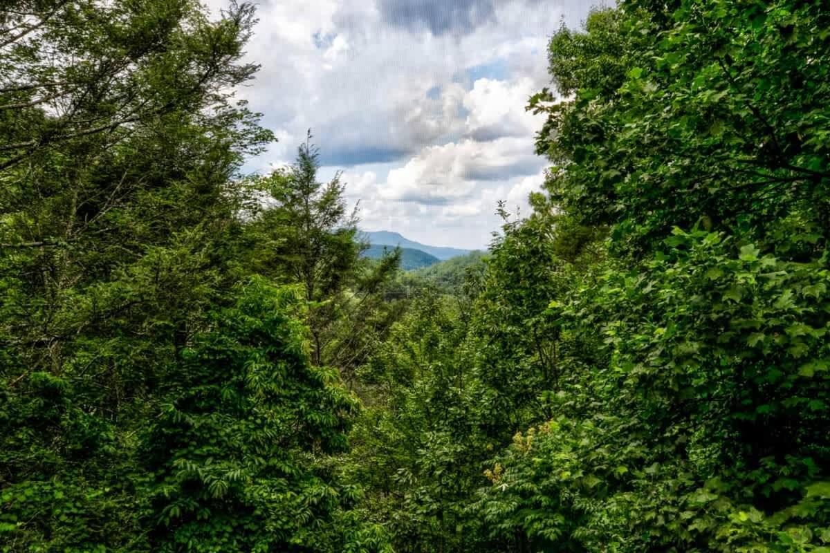 Nice View Fireplace, Hot Tub, Porch Bed, Private سيفيرفيل المظهر الخارجي الصورة